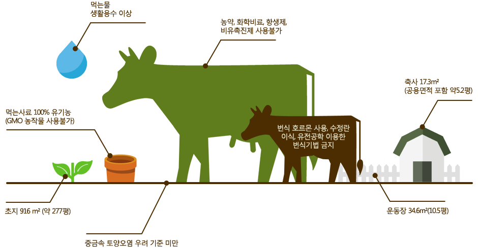 행복한 젖소의 기준